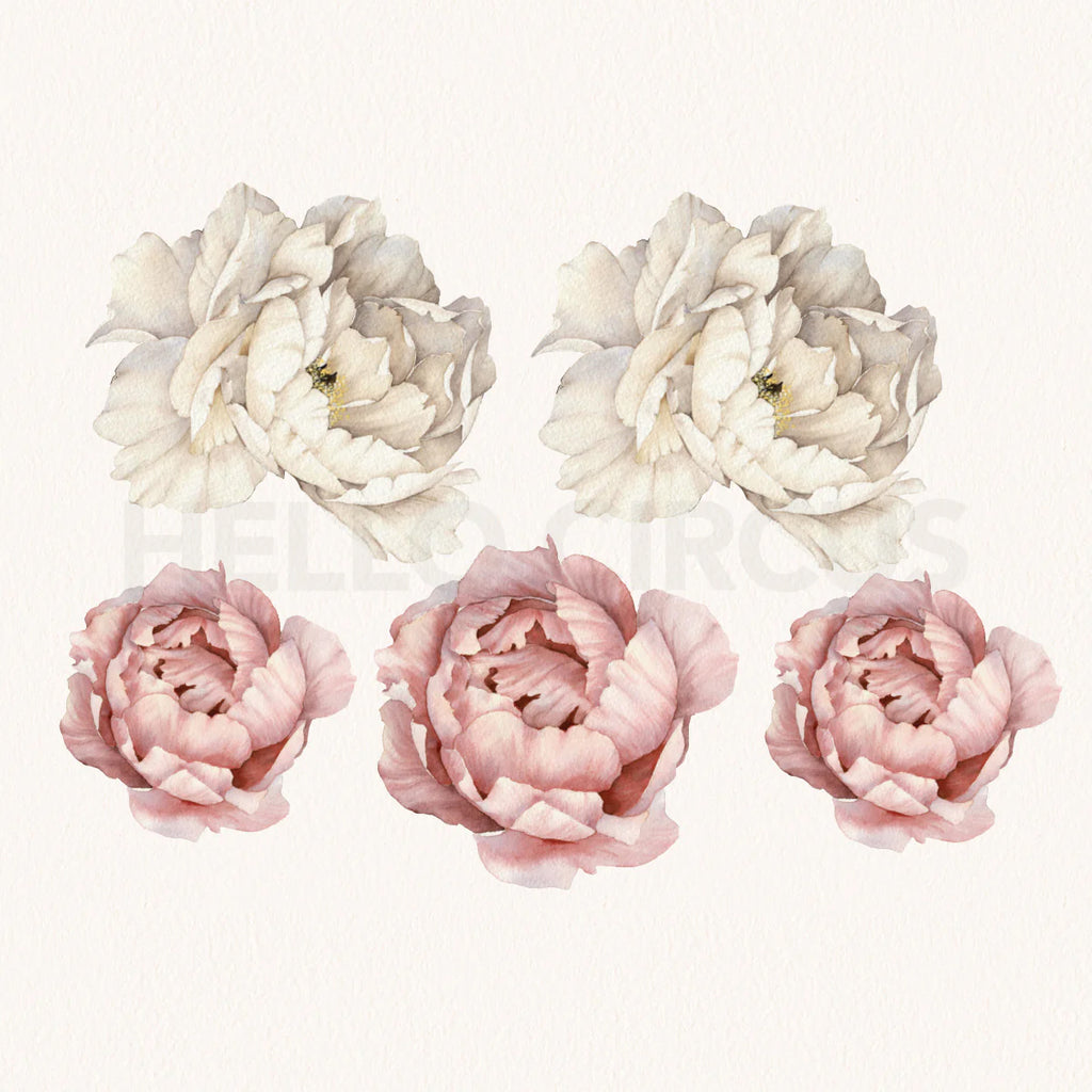 Peonies Pack, Floral Wall Decals in Blush and White close up