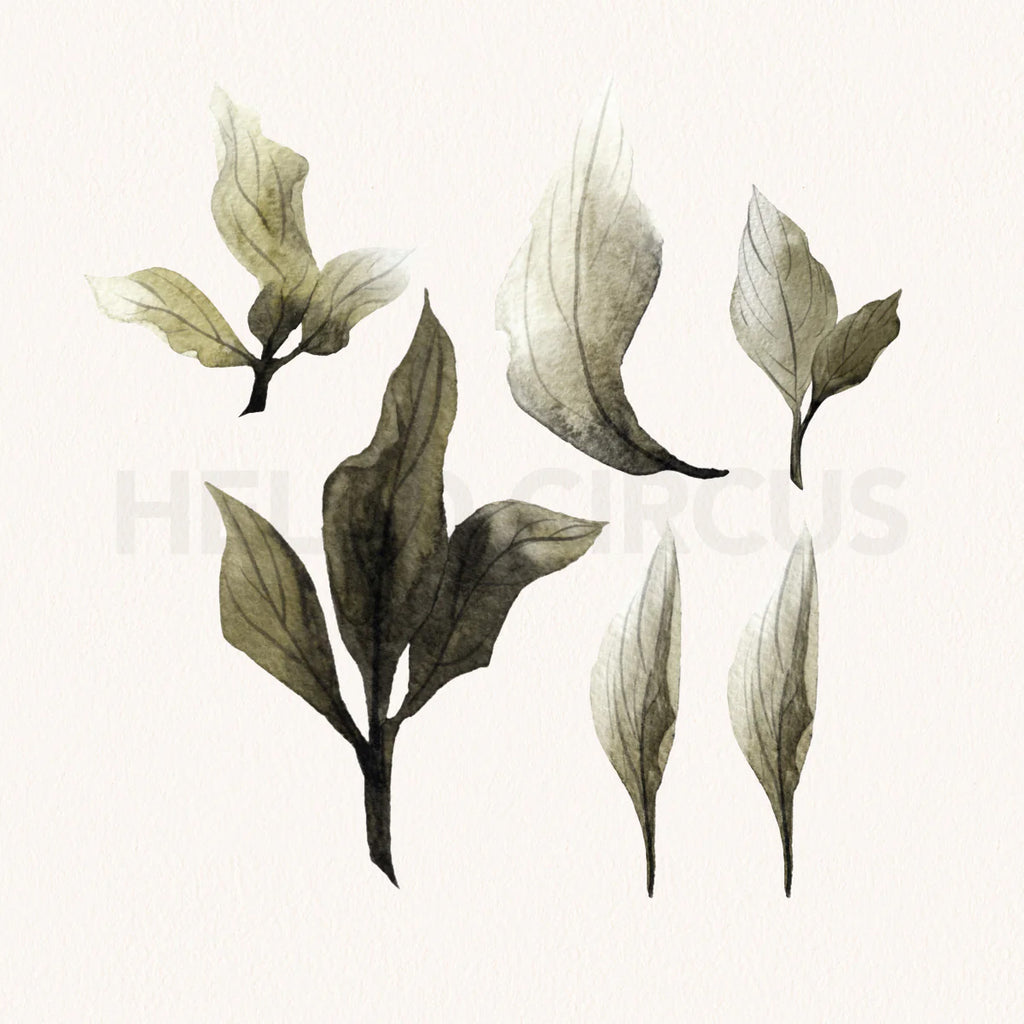 Peonies Pack, Floral Wall Decals in Blush and White leaves close up