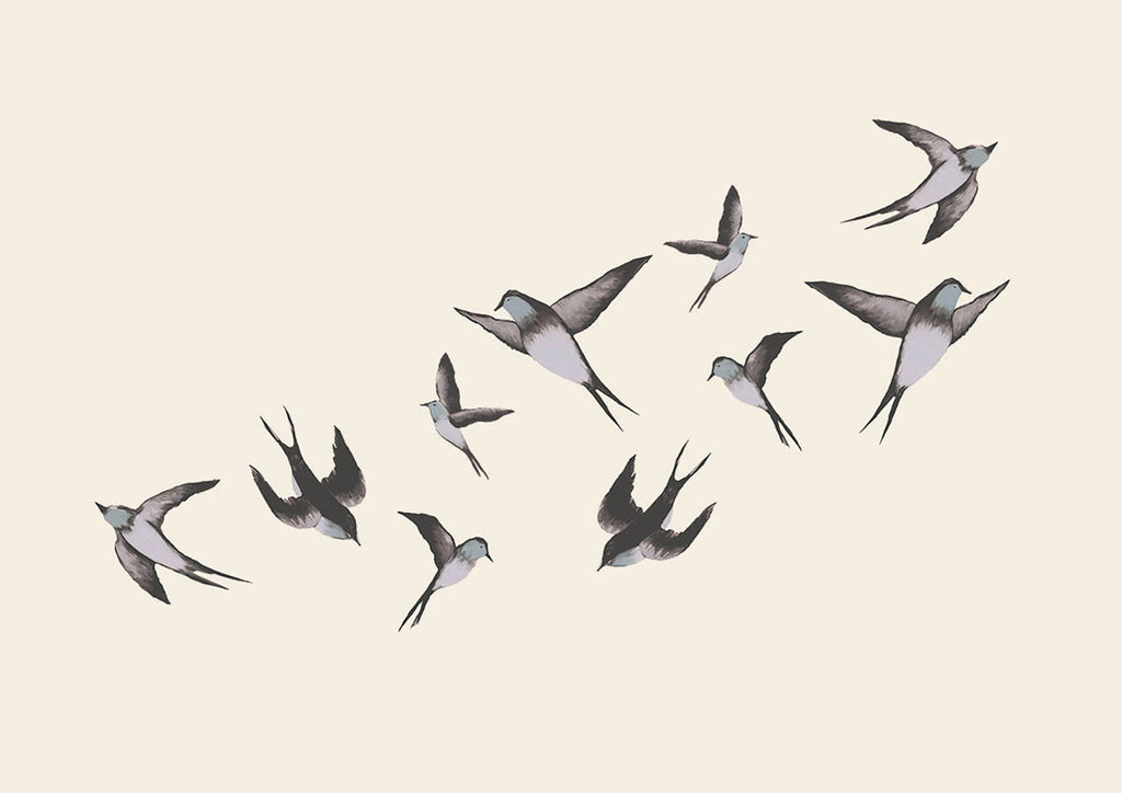 Swallows, Wall Decals in Blue Close Up