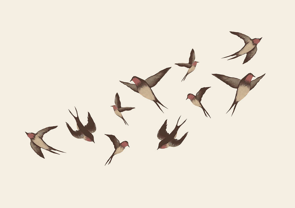 Swallows, Wall Decals in Pink  Close Up