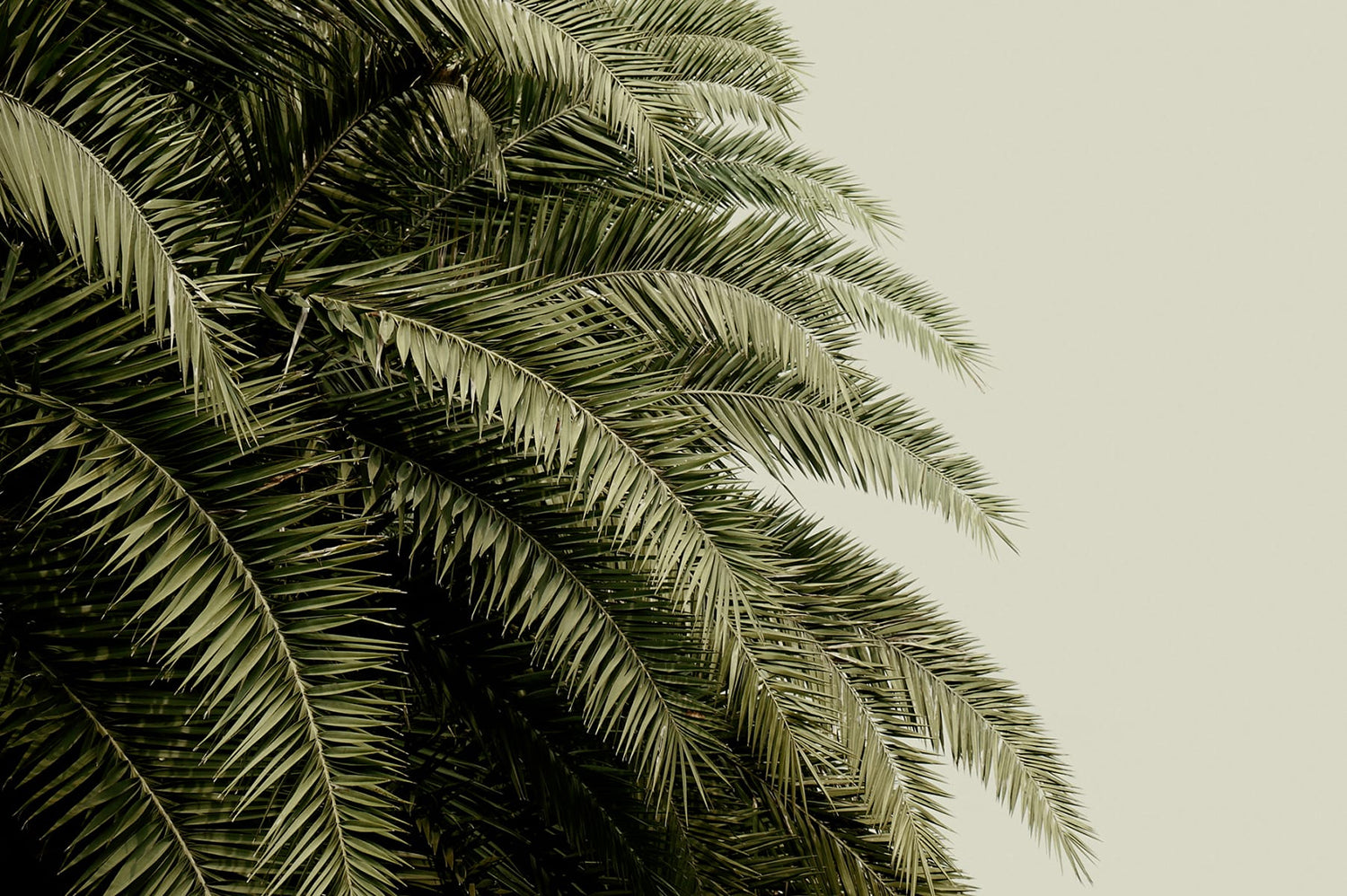 Blog Images