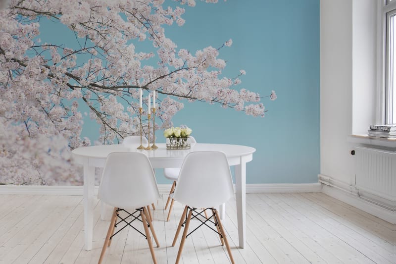Japanese Cherry Tree Wallpaper in Living Room