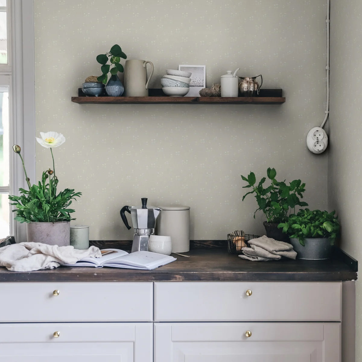 Bianca, Floral Pattern Wallpaper in Sand Featured on a featured on a wall of a kitchen area with a granite countertop and kitchen wares on top of it